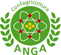 Logo Anga