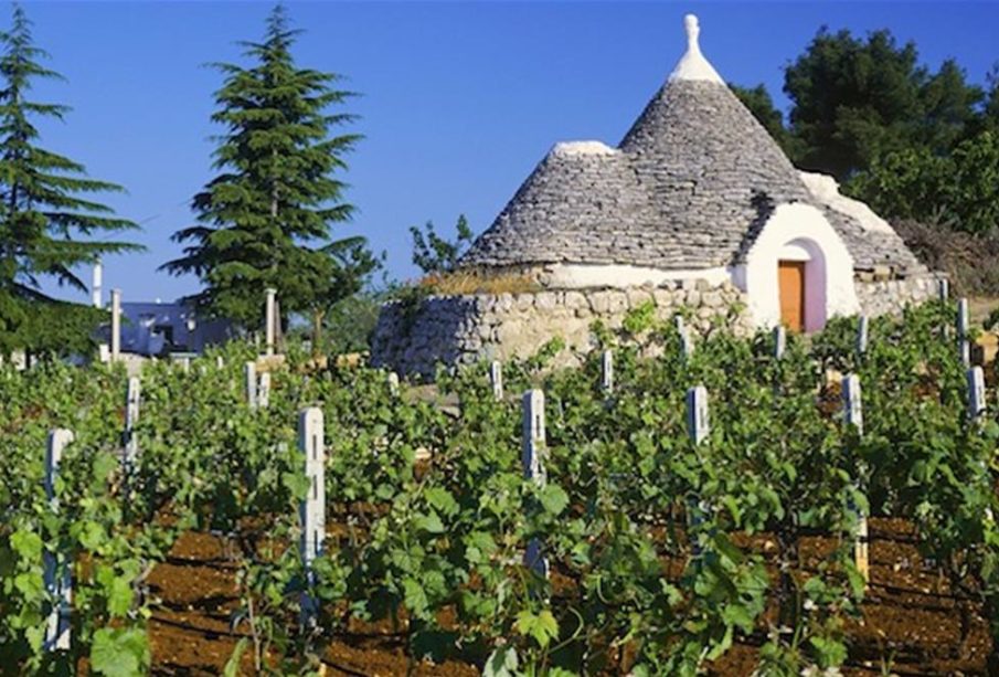 vitigni-Puglia